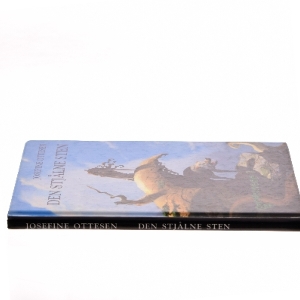 Den stjålne sten af Josefine Ottesen (Bog)