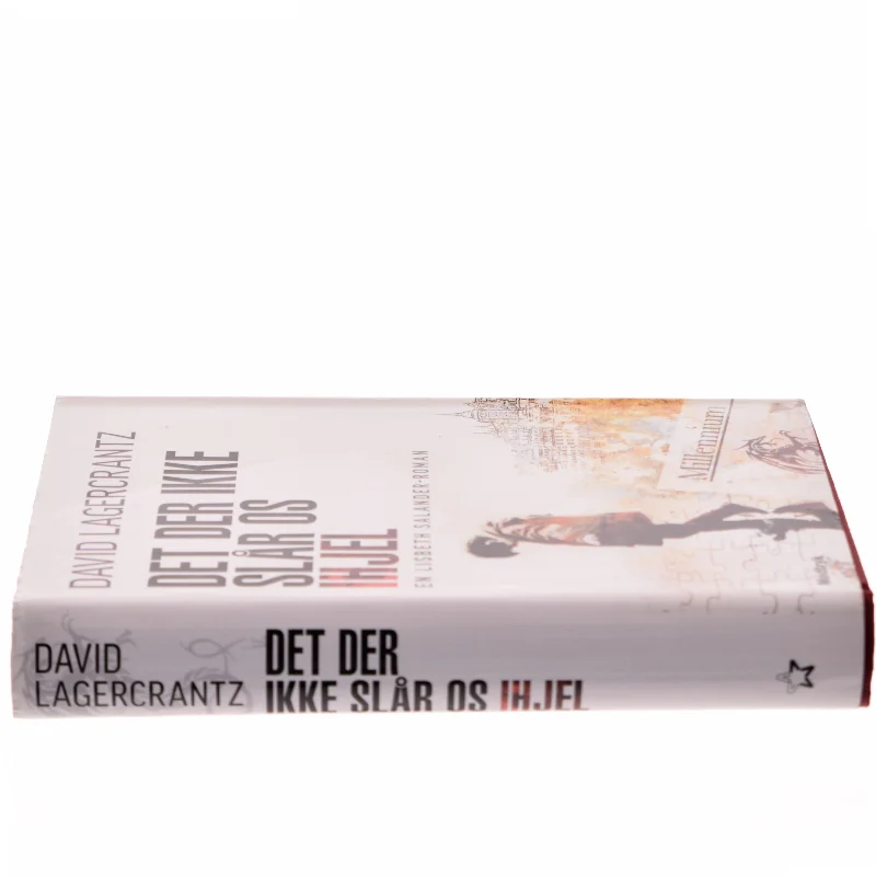 Det der ikke slår os ihjel af David Lagercrantz (Bog)