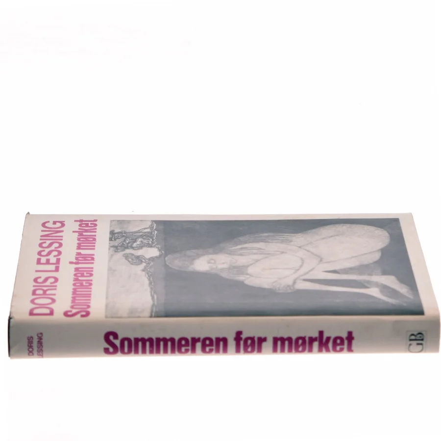 Doris Lessing, sommeren før mørket