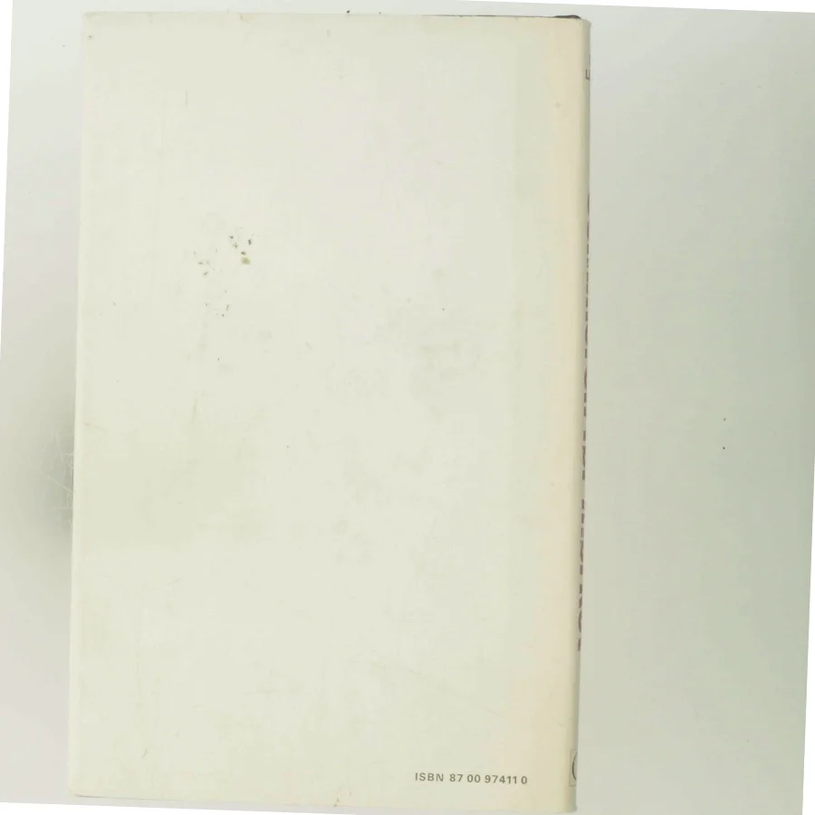 Doris Lessing, sommeren før mørket