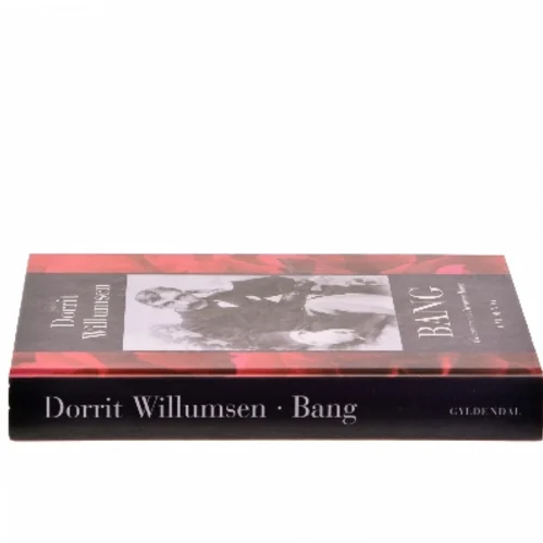 Bang : en roman om Herman Bang af Dorrit Willumsen (Bog)