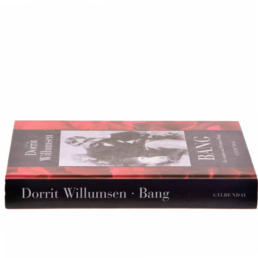 Bang : en roman om Herman Bang af Dorrit Willumsen (Bog)
