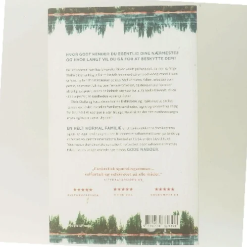 En helt normal familie : en roman om en forbrydelse af Mattias Edvardsson (f. 1977) (Bog)