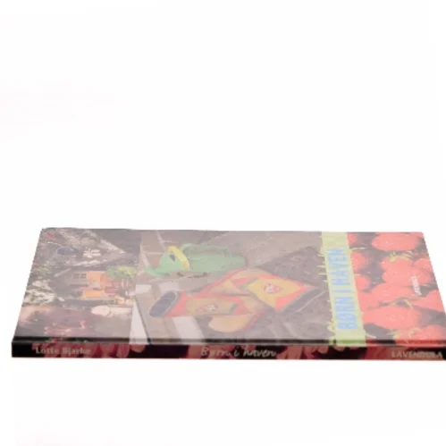 Børn i haven af Lotte Bjarke (Bog)