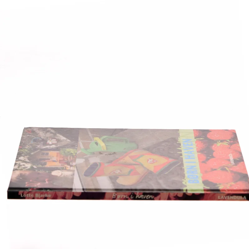 Børn i haven af Lotte Bjarke (Bog)