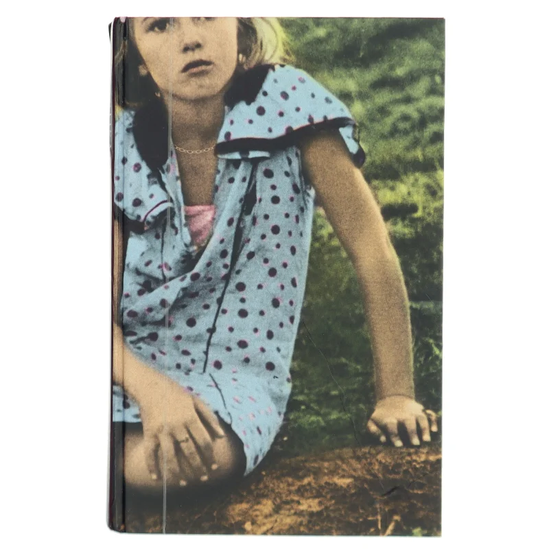 Skæbnesommer af Susan Moody (Bog)