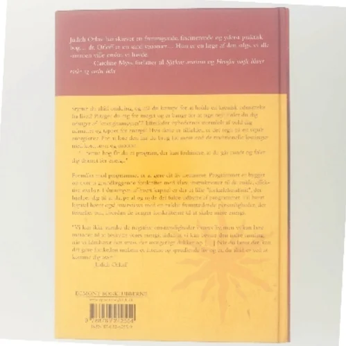 Positiv energi af Judith Orloff (Bog)