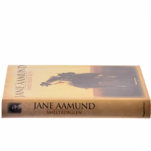 Smeltediglen : andet bind i slægtskrøniken om de dansk-argentinske indvandrere : roman af Jane Aamund (Bog)