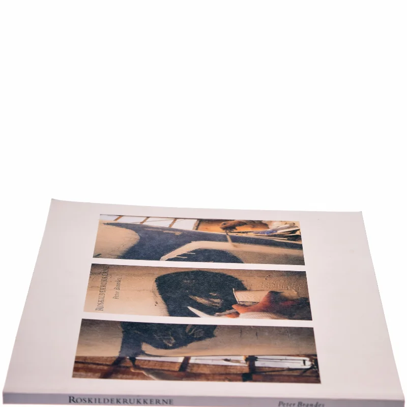 Roskildekrukkerne af Peter Brandes (Bog)