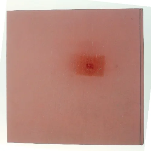 Danske Frimærker 1989 (Bog)