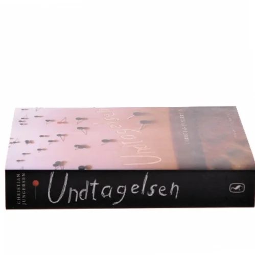 Undtagelsen af Christian Jungersen (Bog)