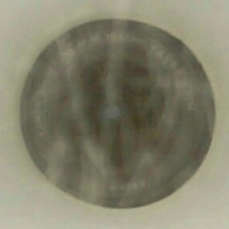 Du er hvad du spiser med Lene Hansson af Lene Hansson (Bog)