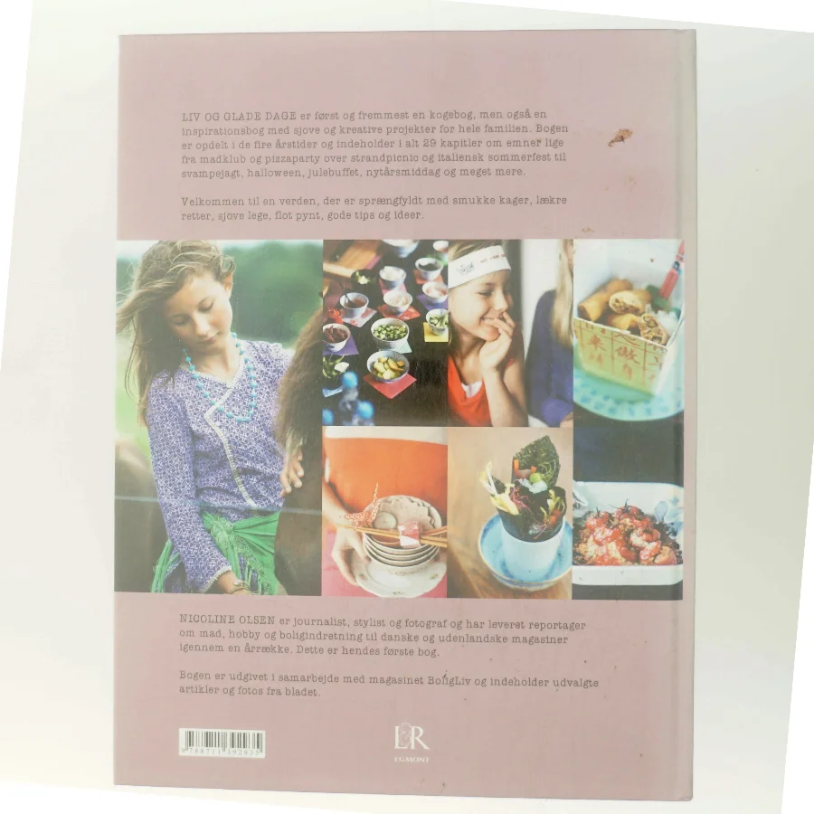 Liv og glade dage : opskrifter og kreative ideer til børnefamiler af Nicoline Olsen (Bog)