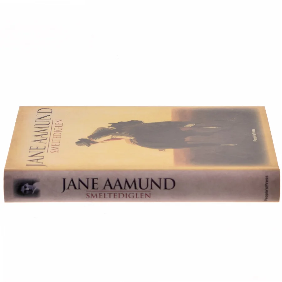 Smeltediglen : andet bind i slægtskrøniken om de dansk-argentinske indvandrere : roman af Jane Aamund (Bog)