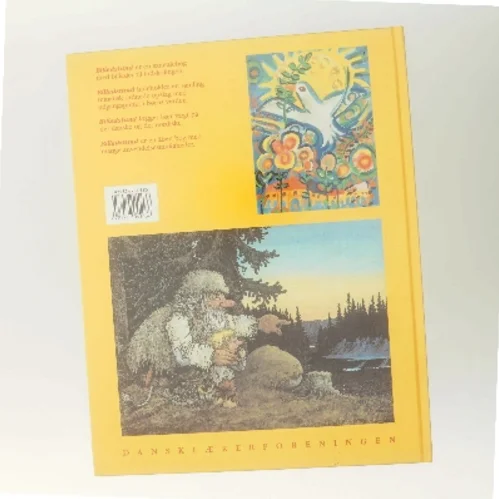 Amanda i Afrika af Synnøve Lien (Bog)