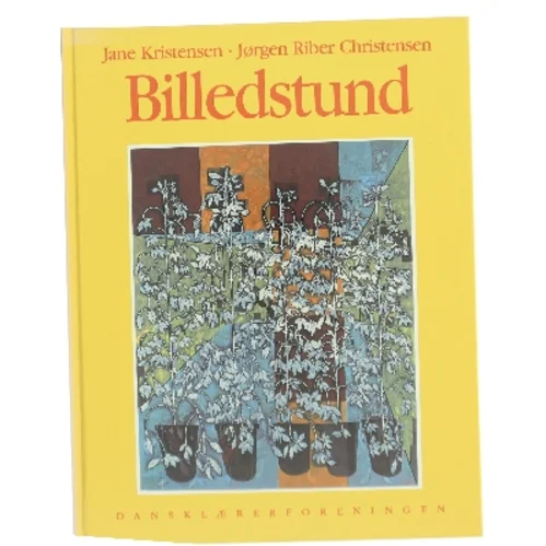 Amanda i Afrika af Synnøve Lien (Bog)