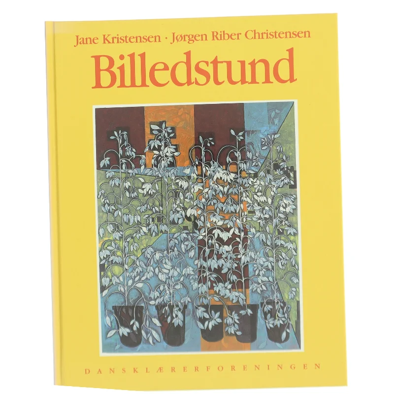 Amanda i Afrika af Synnøve Lien (Bog)