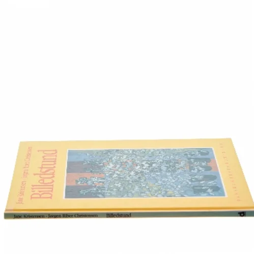 Amanda i Afrika af Synnøve Lien (Bog)