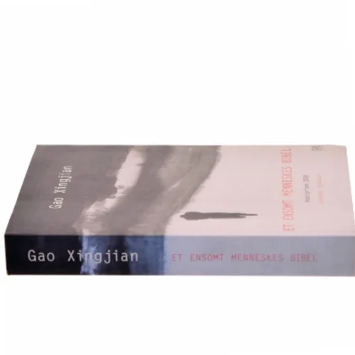 Et ensomt menneskes bibel : roman af Xingjian Gao (Bog)
