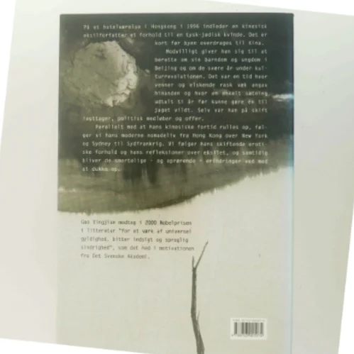 Et ensomt menneskes bibel : roman af Xingjian Gao (Bog)