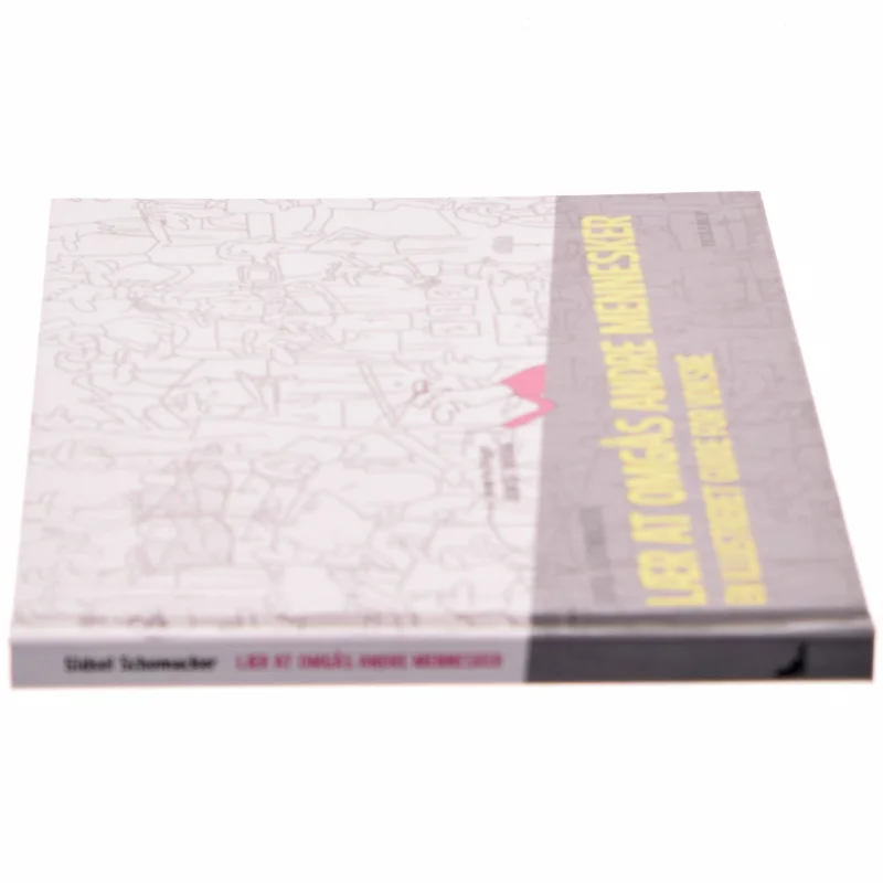 Lær at omgås andre mennesker : en illustreret guide for voksne af Sidsel Schomacker (Bog)