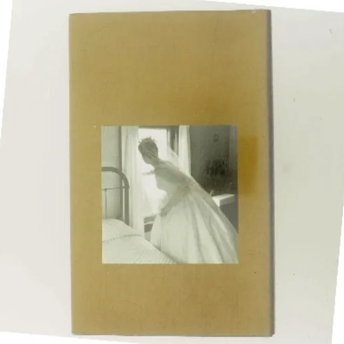 Før du sover af Linn Ullmann (Bog)