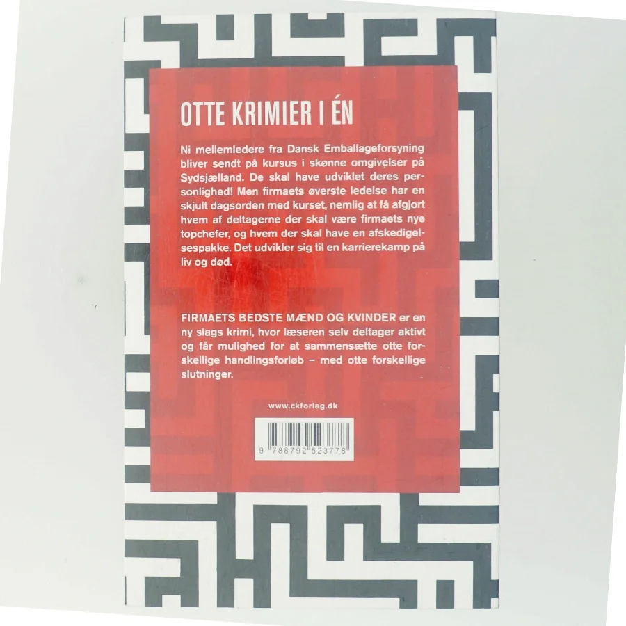 Firmaets bedste mænd og kvinder : en labyrintkrimi af Gretelise Holm (f. 1946) (Bog)