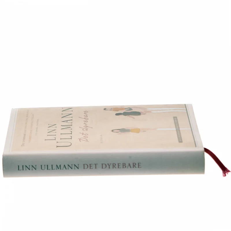 Det dyrebare : roman af Linn Ullmann (Bog)