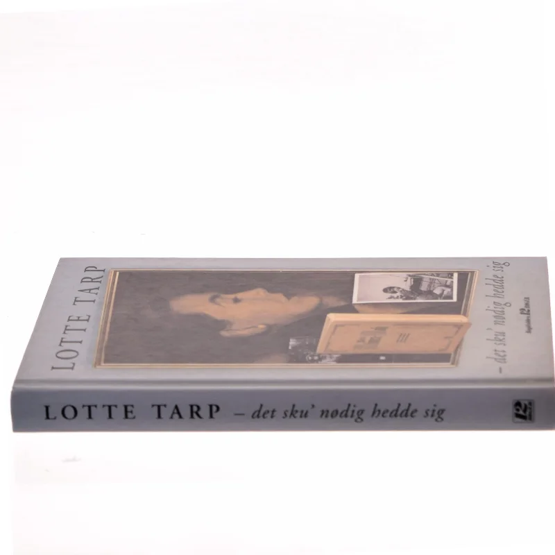 Det sku' nødigt hedde sig af Lotte Tarp (Bog)