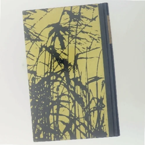 En Oldenborre-Grosserer af Ole Storm (Bog)