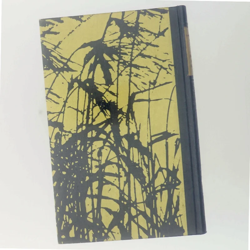 En Oldenborre-Grosserer af Ole Storm (Bog)