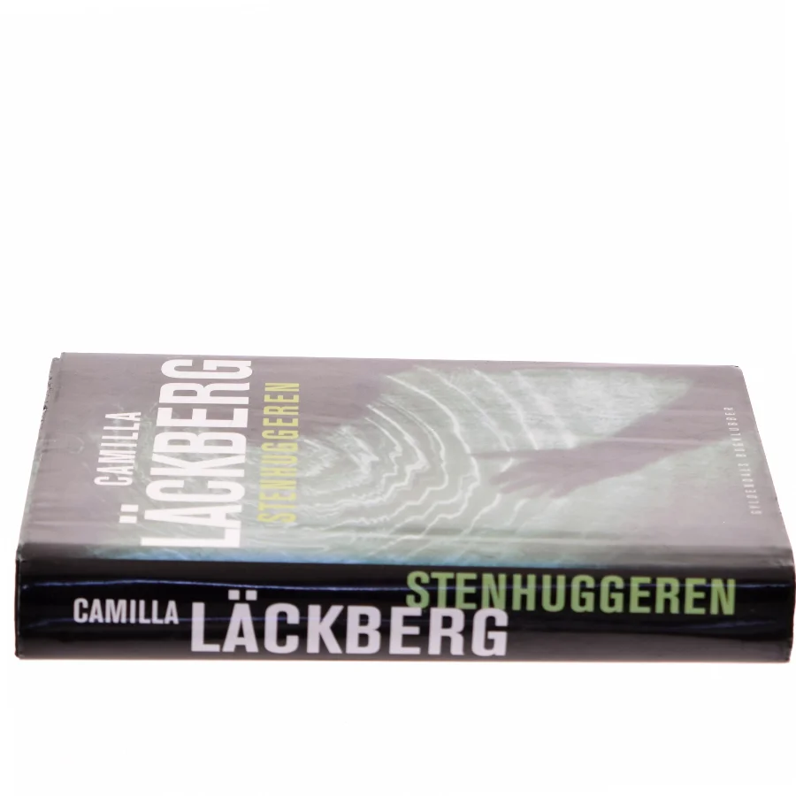 Stenhuggeren af Camilla Läckberg (Bog)