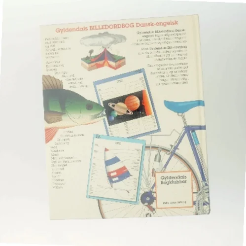 Gyldendals Billedordbog Dansk-engelsk (Bog)