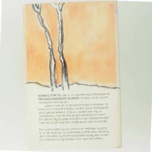 Sonate for To af Ester Bock (Bog)