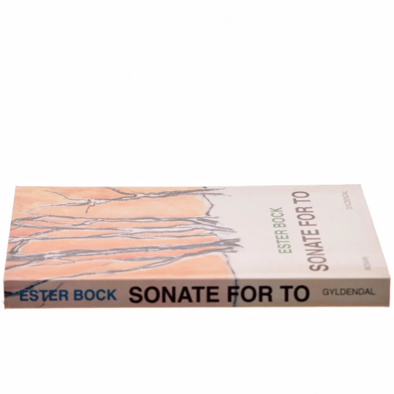 Sonate for To af Ester Bock (Bog)