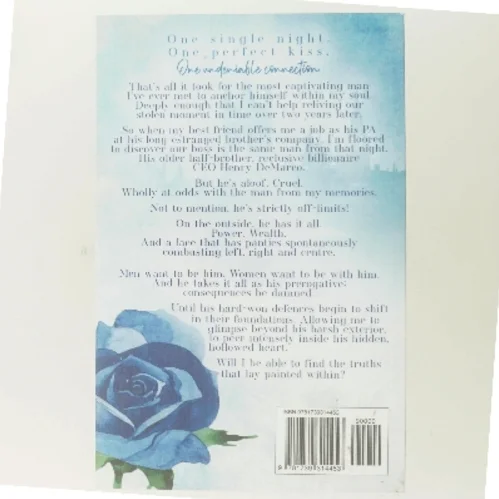 Painted Truths Special Edition af Pamela O'Rourke (Bog)