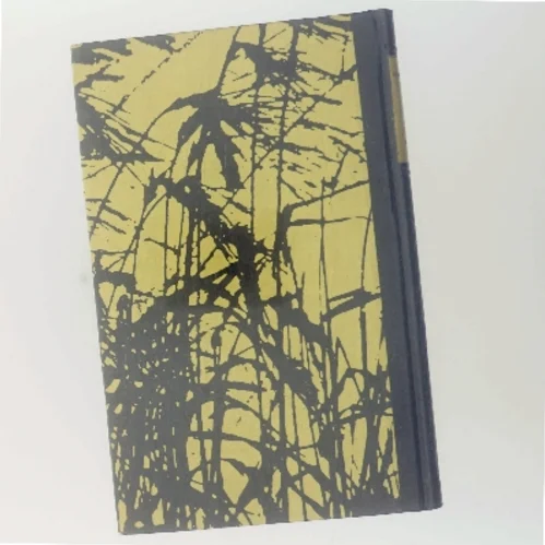 Den Første Morgen af Ole Storm (Bog)