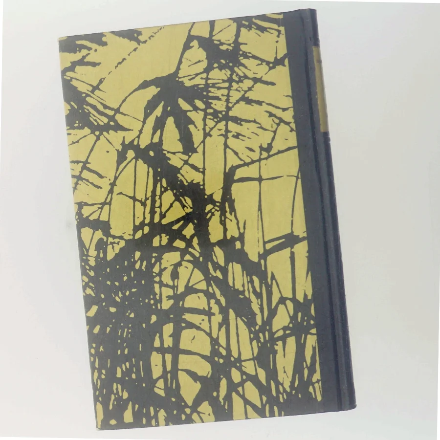 Den Første Morgen af Ole Storm (Bog)