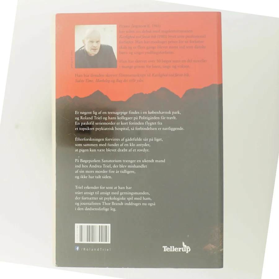 Dansende røde bjørne af Dennis Jürgensen (Bog)