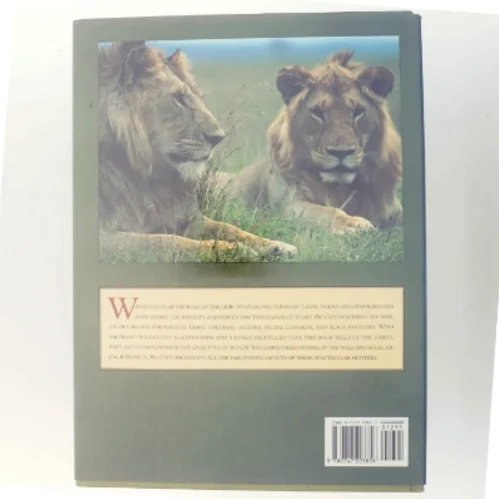 Big Cats af Barbara Radcliffe Rogers (Bog)