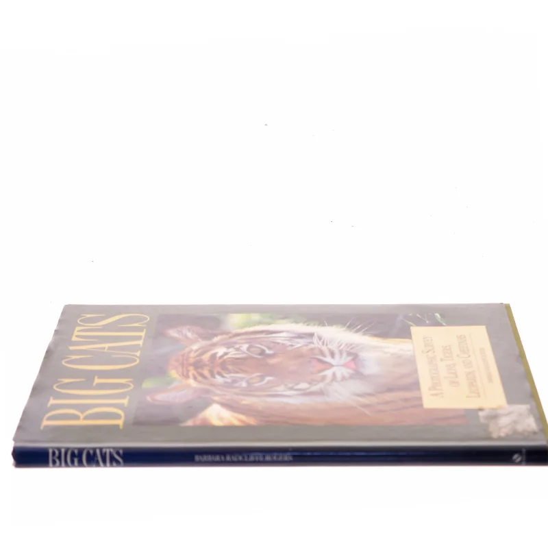 Big Cats af Barbara Radcliffe Rogers (Bog)