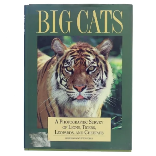 Big Cats af Barbara Radcliffe Rogers (Bog)