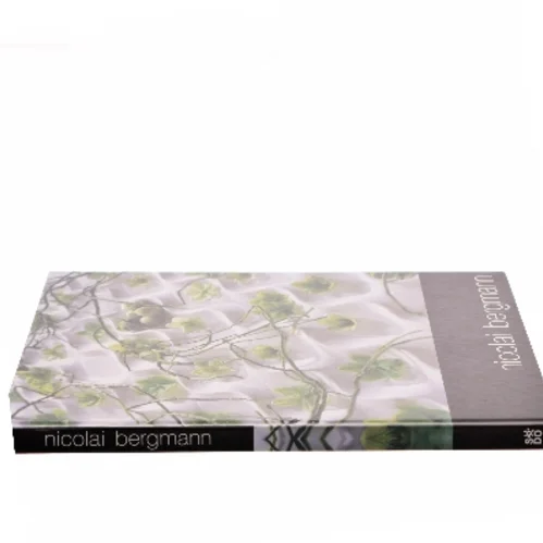 nicolai bergmann af nicolai bergmann (Bog)