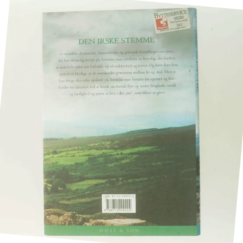 Den irske stemme : fortællinger af Jane Aamund (Bog)