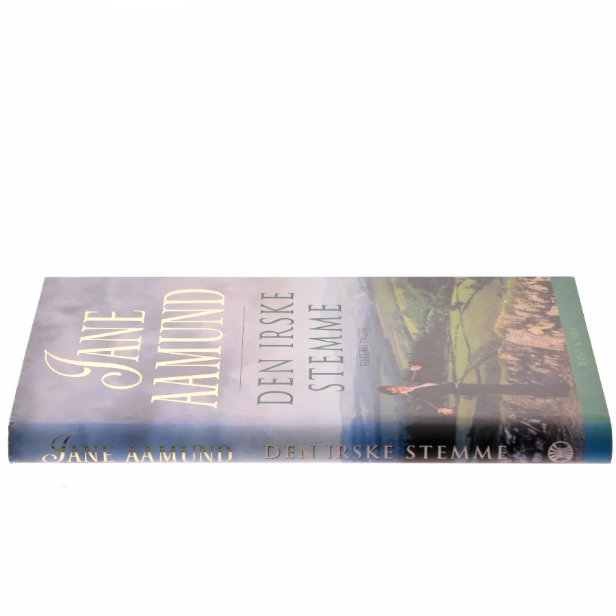 Den irske stemme : fortællinger af Jane Aamund (Bog)