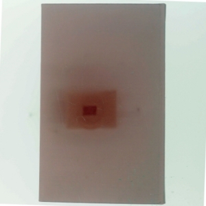 Noveller af <Bogens forfattere> (Bog)