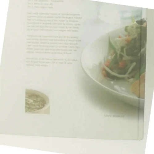 Ned i vægt af Lone Viggers (Bog)