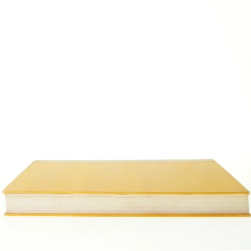 H.C. Andersen, mit livs eventyr fra Niels Larsen Stevns (str. 34 x 26 x 4 cm)