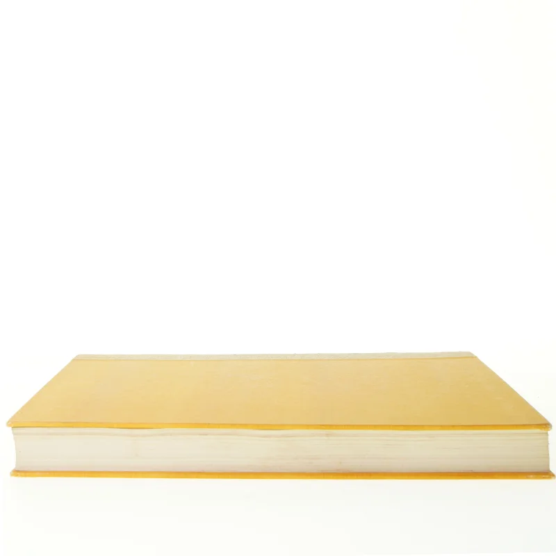 H.C. Andersen, mit livs eventyr fra Niels Larsen Stevns (str. 34 x 26 x 4 cm)