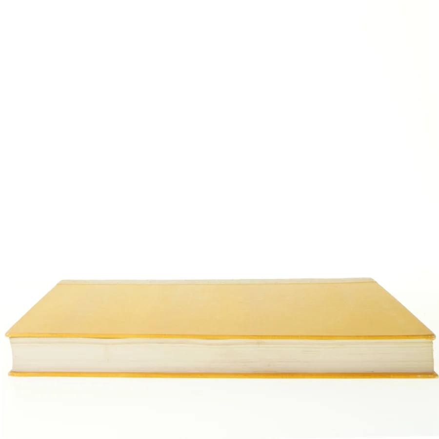 H.C. Andersen, mit livs eventyr fra Niels Larsen Stevns (str. 34 x 26 x 4 cm)